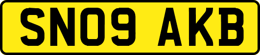 SN09AKB