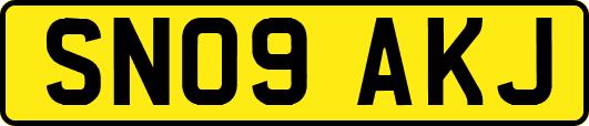 SN09AKJ