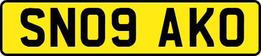 SN09AKO