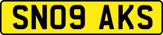SN09AKS