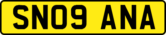 SN09ANA