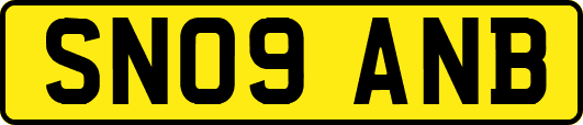 SN09ANB