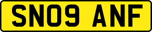 SN09ANF