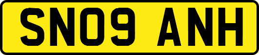 SN09ANH