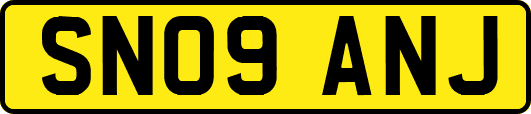 SN09ANJ
