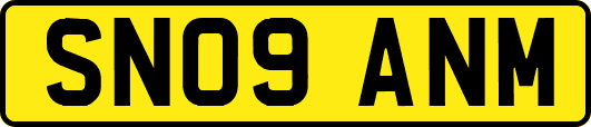 SN09ANM
