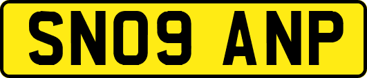 SN09ANP