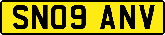 SN09ANV