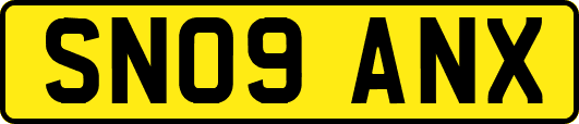SN09ANX