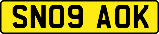 SN09AOK