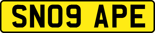 SN09APE