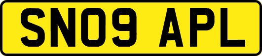 SN09APL