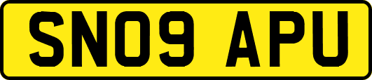 SN09APU