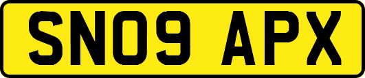 SN09APX
