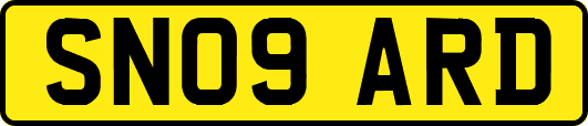 SN09ARD