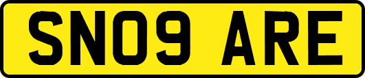 SN09ARE