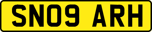 SN09ARH