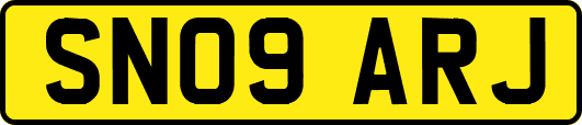 SN09ARJ