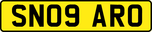 SN09ARO