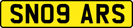 SN09ARS