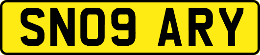 SN09ARY