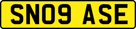 SN09ASE