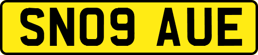 SN09AUE