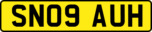 SN09AUH