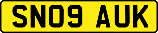 SN09AUK