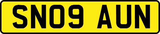 SN09AUN