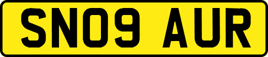 SN09AUR