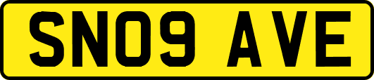 SN09AVE