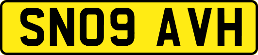SN09AVH