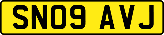 SN09AVJ