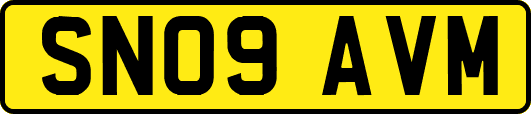 SN09AVM