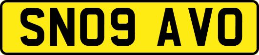 SN09AVO