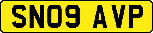 SN09AVP