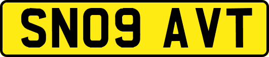 SN09AVT