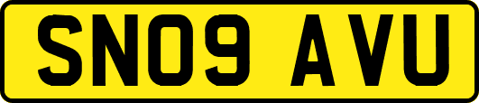 SN09AVU