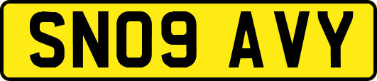 SN09AVY