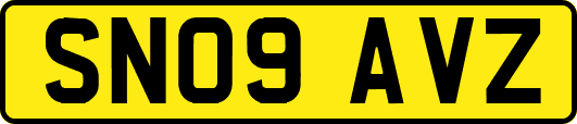 SN09AVZ