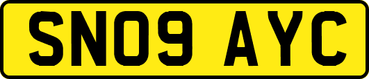 SN09AYC