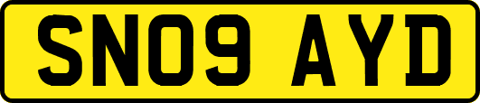 SN09AYD