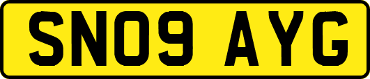 SN09AYG