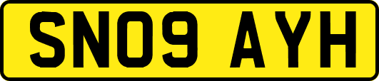 SN09AYH