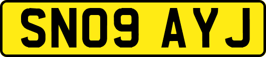 SN09AYJ