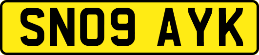 SN09AYK