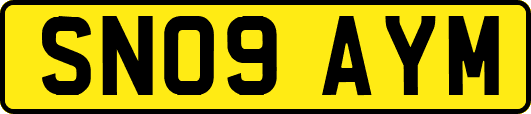 SN09AYM