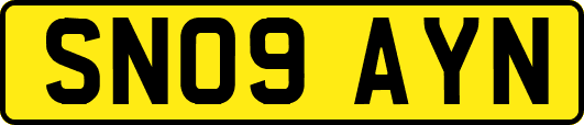 SN09AYN
