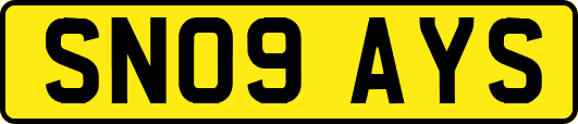 SN09AYS